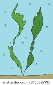 Ilustración de contorno Imagen de Vector de un alga marina.
Obra de arte dibujada a mano de un alga.
Simple lindo logotipo original.
Ilustración vectorial dibujada a mano para carteles.