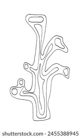 Outline illustration vector image of a seaweed.
Hand drawn artwork of a seaweed.
Simple cute original logo.
Hand drawn vector illustration for posters.