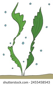 Ilustración de contorno Imagen de Vector de un alga marina.
Obra de arte dibujada a mano de un alga.
Simple lindo logotipo original.
Ilustración vectorial dibujada a mano para carteles.