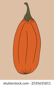 Outline illustration vector image of squashes and pumpkins.
Hand drawn artwork of a pumpkin.
Simple cute original logo.
Hand drawn vector illustration for posters.