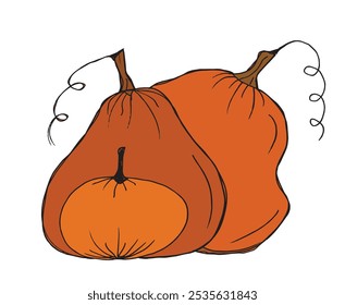 Outline illustration vector image of squashes and pumpkins.
Hand drawn artwork of a pumpkin.
Simple cute original logo.
Hand drawn vector illustration for posters.