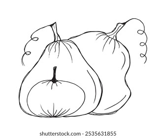 Outline illustration vector image of squashes and pumpkins.
Hand drawn artwork of a pumpkin.
Simple cute original logo.
Hand drawn vector illustration for posters.