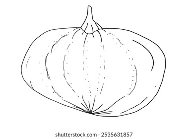 Outline illustration vector image of squashes and pumpkins.
Hand drawn artwork of a pumpkin.
Simple cute original logo.
Hand drawn vector illustration for posters.