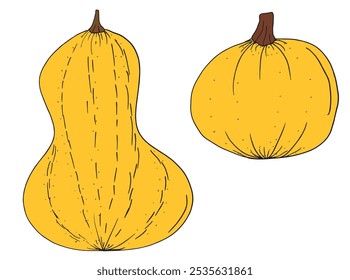 Outline illustration vector image of squashes and pumpkins.
Hand drawn artwork of a pumpkin.
Simple cute original logo.
Hand drawn vector illustration for posters.