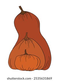 Outline illustration vector image of squashes and pumpkins.
Hand drawn artwork of a pumpkin.
Simple cute original logo.
Hand drawn vector illustration for posters.