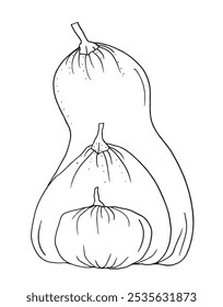 Outline illustration vector image of squashes and pumpkins.
Hand drawn artwork of a pumpkin.
Simple cute original logo.
Hand drawn vector illustration for posters.