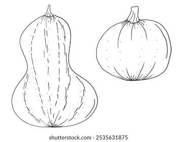 Outline illustration vector image of squashes and pumpkins.
Hand drawn artwork of a pumpkin.
Simple cute original logo.
Hand drawn vector illustration for posters.