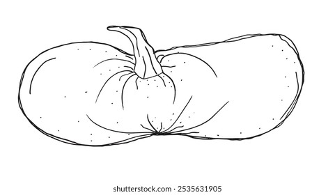 Outline illustration vector image of squashes and pumpkins.
Hand drawn artwork of a pumpkin.
Simple cute original logo.
Hand drawn vector illustration for posters.