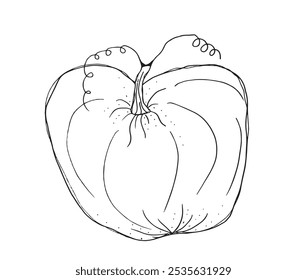 Outline illustration vector image of squashes and pumpkins.
Hand drawn artwork of a pumpkin.
Simple cute original logo.
Hand drawn vector illustration for posters.