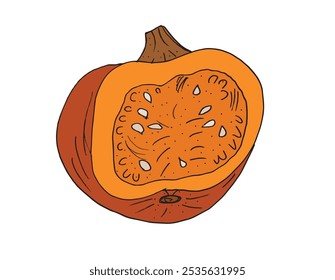 Outline illustration vector image of squashes and pumpkins.
Hand drawn artwork of a pumpkin.
Simple cute original logo.
Hand drawn vector illustration for posters.