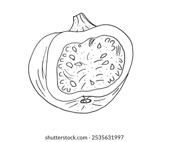 Outline illustration vector image of squashes and pumpkins.
Hand drawn artwork of a pumpkin.
Simple cute original logo.
Hand drawn vector illustration for posters.