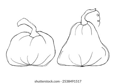 Outline illustration vector image of squashes and pumpkins.
Hand drawn artwork of a pumpkin.
Simple cute original logo.
Hand drawn vector illustration for posters.