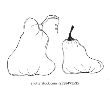 Outline illustration vector image of squashes and pumpkins.
Hand drawn artwork of a pumpkin.
Simple cute original logo.
Hand drawn vector illustration for posters.