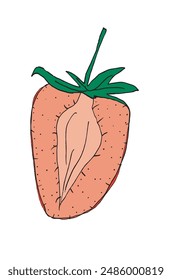 Outline illustration vector image of a  strawberry.
Hand drawn artwork of a strawberry.
Simple cute original logo.
Hand drawn vector illustration for posters.