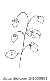 Ilustración de contorno Imagen de Vector de una fresa.
Obra de arte dibujada a mano de una fresa.
Simple lindo logotipo original.
Ilustración vectorial dibujada a mano para carteles.