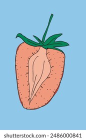 Outline illustration vector image of a  strawberry.
Hand drawn artwork of a strawberry.
Simple cute original logo.
Hand drawn vector illustration for posters.