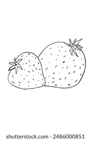 Outline illustration vector image of a  strawberry.
Hand drawn artwork of a strawberry.
Simple cute original logo.
Hand drawn vector illustration for posters.