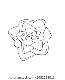 Outline illustration vector image of a succulent.
Hand drawn artwork of a succulent.
Simple cute original logo.
Hand drawn vector illustration for posters.