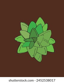 Outline illustration vector image of a succulent.
Hand drawn artwork of a succulent.
Simple cute original logo.
Hand drawn vector illustration for posters.