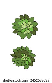 Outline illustration vector image of a succulent.
Hand drawn artwork of a succulent.
Simple cute original logo.
Hand drawn vector illustration for posters.