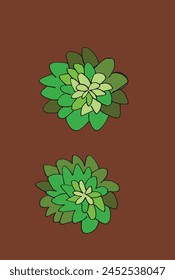 Outline illustration vector image of a succulent.
Hand drawn artwork of a succulent.
Simple cute original logo.
Hand drawn vector illustration for posters.