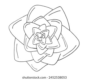 Outline illustration vector image of a succulent.
Hand drawn artwork of a succulent.
Simple cute original logo.
Hand drawn vector illustration for posters.