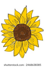 Outline illustration vector image of a  sunflower.
Hand drawn artwork of a sunflower.
Simple cute original logo.
Hand drawn vector illustration for posters.