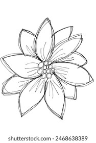 Outline illustration vector image of a  sunflower.
Hand drawn artwork of a sunflower.
Simple cute original logo.
Hand drawn vector illustration for posters.