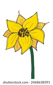 Outline illustration vector image of a  sunflower.
Hand drawn artwork of a sunflower.
Simple cute original logo.
Hand drawn vector illustration for posters.