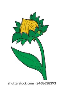 Outline illustration vector image of a  sunflower.
Hand drawn artwork of a sunflower.
Simple cute original logo.
Hand drawn vector illustration for posters.