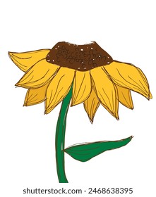 Outline illustration vector image of a  sunflower.
Hand drawn artwork of a sunflower.
Simple cute original logo.
Hand drawn vector illustration for posters.