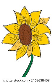 Outline illustration vector image of a  sunflower.
Hand drawn artwork of a sunflower.
Simple cute original logo.
Hand drawn vector illustration for posters.
