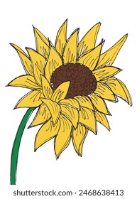 Ilustración de contorno Imagen de Vector de un girasol.
Obra de arte dibujada a mano de un girasol.
Simple lindo logotipo original.
Ilustración vectorial dibujada a mano para carteles.