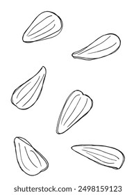 Outline illustration vector image of a sunflower seed.
Hand drawn artwork of a sunflower seeds.
Simple cute original logo.
Hand drawn vector illustration for posters.