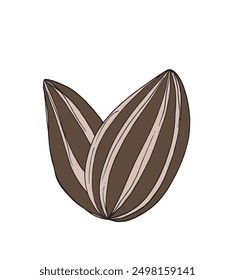 Outline illustration vector image of a sunflower seed.
Hand drawn artwork of a sunflower seeds.
Simple cute original logo.
Hand drawn vector illustration for posters.