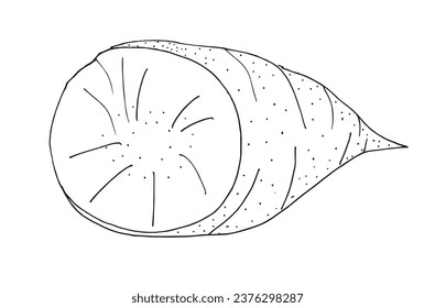 Outline illustration vector image of a sweet potato.
Hand drawn artwork of a sweet potato. 
Simple cute original logo.
Hand drawn vector illustration for posters, cards, t-shirts.