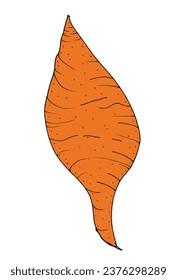 Outline illustration vector image of a sweet potato.
Hand drawn artwork of a sweet potato. 
Simple cute original logo.
Hand drawn vector illustration for posters, cards, t-shirts.