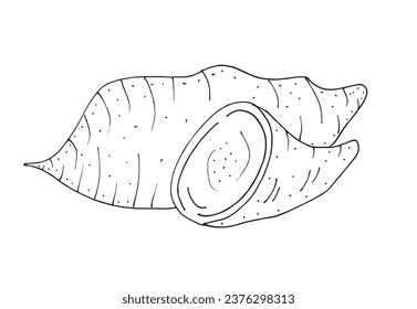 Outline illustration vector image of a sweet potato.
Hand drawn artwork of a sweet potato. 
Simple cute original logo.
Hand drawn vector illustration for posters, cards, t-shirts.