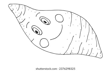 Ilustración de esquema de imagen vectorial de una batata dulce.
Obra artística hecha a mano de una batata. 
Simple y lindo logo original.
Ilustración vectorial dibujada a mano para afiches, tarjetas, camisetas.