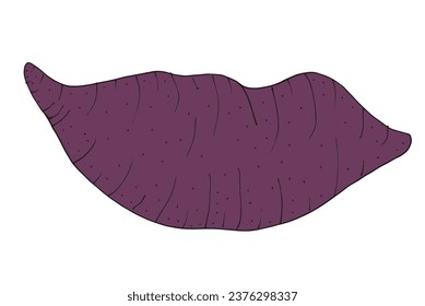 Outline illustration vector image of a sweet potato.
Hand drawn artwork of a sweet potato. 
Simple cute original logo.
Hand drawn vector illustration for posters, cards, t-shirts.