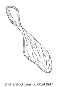 Outline illustration vector image of a sycamore seeds.
Hand drawn artwork of a sycamore seeds.
Simple cute original logo.
Hand drawn vector illustration for posters.