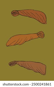 Outline illustration vector image of a sycamore seeds.
Hand drawn artwork of a sycamore seeds.
Simple cute original logo.
Hand drawn vector illustration for posters.