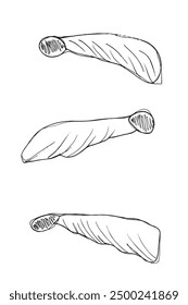 Outline illustration vector image of a sycamore seeds.
Hand drawn artwork of a sycamore seeds.
Simple cute original logo.
Hand drawn vector illustration for posters.