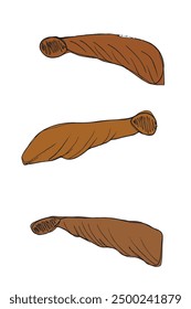 Outline illustration vector image of a sycamore seeds.
Hand drawn artwork of a sycamore seeds.
Simple cute original logo.
Hand drawn vector illustration for posters.
