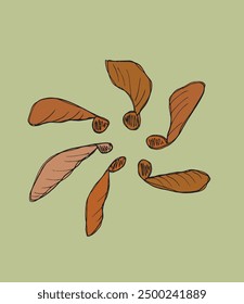 Outline illustration vector image of a sycamore seeds.
Hand drawn artwork of a sycamore seeds.
Simple cute original logo.
Hand drawn vector illustration for posters.