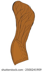 Ilustración de esquema Imagen de Vector de semillas de sicomoro.
Dibujado a mano obra de arte de un sicomoro semillas.
Logo original lindo simple.
Ilustración vectorial dibujada a mano para carteles.