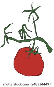 Outline illustration vector image of a tomato.
Hand drawn artwork of a tomato.
Simple cute original logo.
Hand drawn vector illustration for posters.