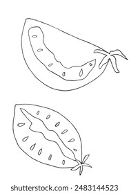 Outline illustration vector image of a tomato.
Hand drawn artwork of a tomato.
Simple cute original logo.
Hand drawn vector illustration for posters.