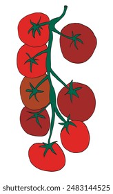 Ilustración de contorno Imagen de Vector de un tomate.
Obra de arte dibujada a mano de un tomate.
Simple lindo logotipo original.
Ilustración vectorial dibujada a mano para carteles.