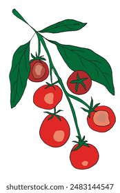 Outline illustration vector image of a tomato.
Hand drawn artwork of a tomato.
Simple cute original logo.
Hand drawn vector illustration for posters.